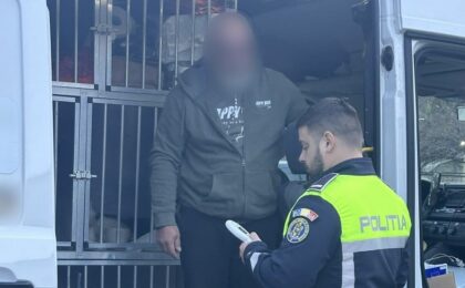 cbbe6cf4 10dc 4306 91e5 c2a6e70a679c