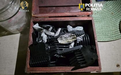Rețea de trafic de droguri destructurată la Timișoara (video)