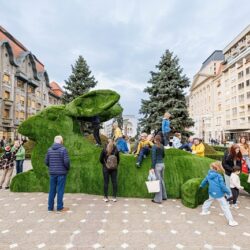 iepure targ timisoara