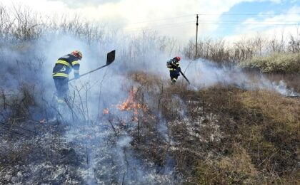 Peste 80 de incendii de amploare în Timiş. Au ars mai mult de 100 de hectare de teren, doar în această lună