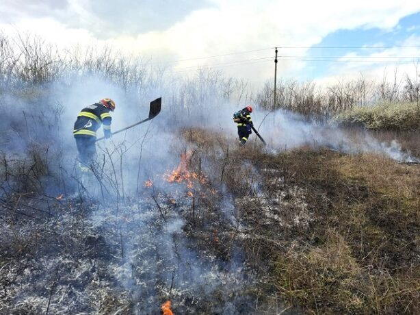 Peste 80 de incendii de amploare în Timiş. Au ars mai mult de 100 de hectare de teren, doar în această lună
