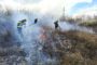 Aproape 200 de misiuni ale pompierilor militari timișeni, în ultimele 48 de ore