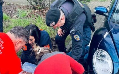 ”Nu și astăzi!”. Moartea, învinsă pe asfaltul rece din Timișoara de un jandarm