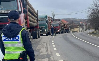 Poliția Caraș-Severin și Garda Forestieră Timișoara au confiscat peste 200 de metri cubi de material lemnos