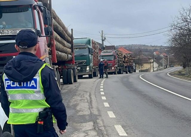 Poliția Caraș-Severin și Garda Forestieră Timișoara au confiscat peste 200 de metri cubi de material lemnos