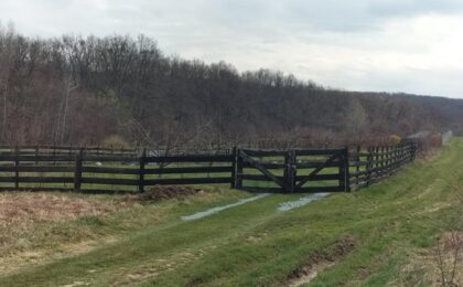 Banat: Două săptămâni cu temperaturi... surprinzătoare