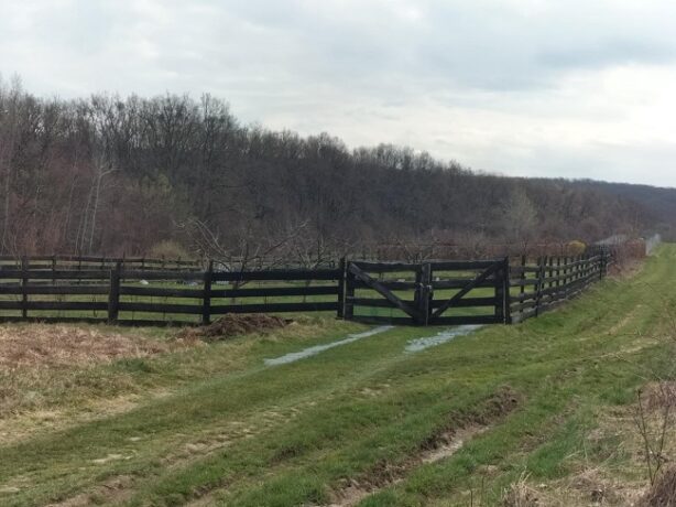 ANM: Vremea se răceşte în toată ţara