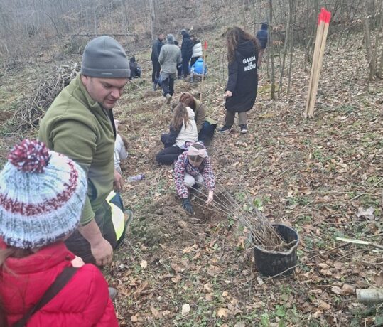 Acțiune de plantare la Margina: elevii învață pe teren să protejeze mediul