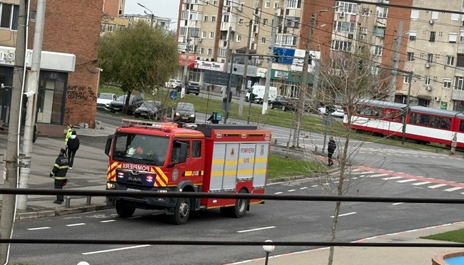 Porumbel agățat de cabluri, salvat de pompieri