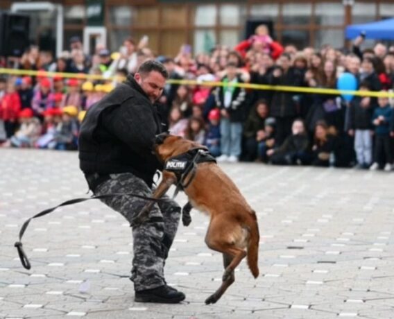 Ziua Poliției, la Timișoara: Porți Deschise și demonstrații spectaculoase (video)