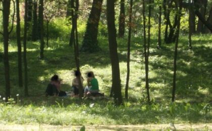 Reguli la picnic de 1 Mai. Poliția Locală Timișoara anunță controale și amenzi