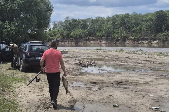 Dosare penale pentru braconaj piscicol