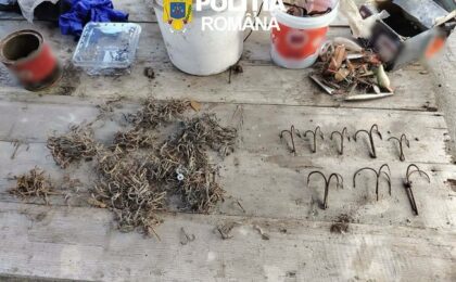 Percheziții în Timiș și Arad: cinci bărbați au fost reținuți pentru braconaj piscicol