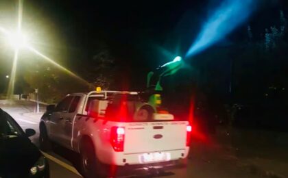 Primăria Timişoara anunţă acţiuni nocturne de dezinsecţie împotriva ţânţarilor și căpușelor