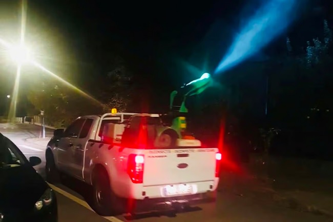 Primăria Timişoara anunţă acţiuni nocturne de dezinsecţie împotriva ţânţarilor și căpușelor