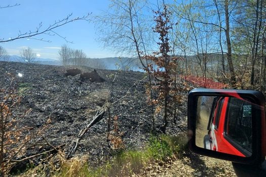 Incendiu de vegetație, întețit din cauza vântului puternic