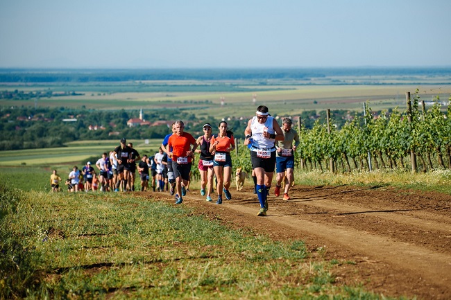 „La Petrovaselo în vie”, la o nouă ediţie