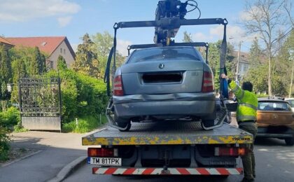 Sute de rable, ridicate de pe domeniul public, la Timişoara. Poliţia Locală aşteaptă sesizări de la cetăţeni