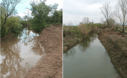 Lucrări de decolmatare pe râul Bega, în zona Balinț. Intervenții pentru reducerea riscurilor la inundații