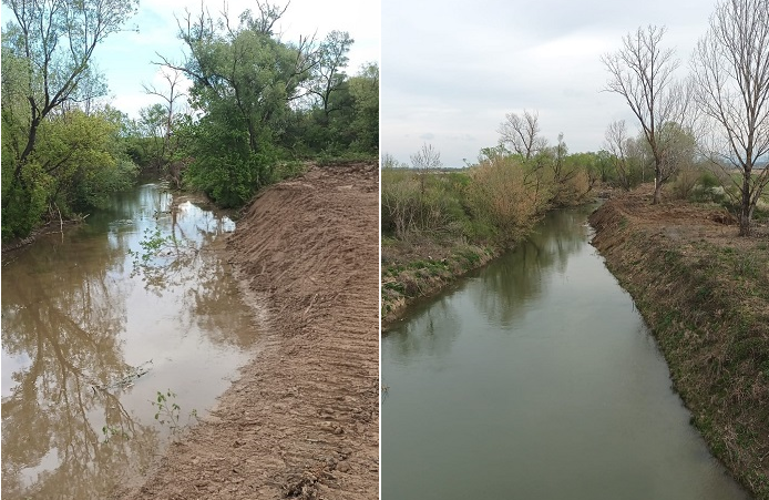 Lucrări de decolmatare pe râul Bega, în zona Balinț. Intervenții pentru reducerea riscurilor la inundații