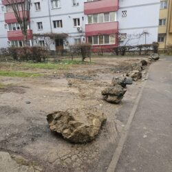 bolovani strada martir Claudiu varcus 1 1068x1424 1