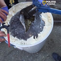Tânăr prins în flagrant, la Timişoara, cu 6,5 kilograme de canabis. Avea o metodă ingenioasă de depozitare (foto) 2 Tânăr prins în flagrant, la Timişoara, cu 6,5 kilograme de canabis. Avea o metodă ingenioasă de depozitare (foto)