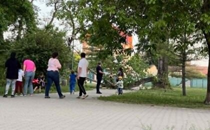 La un pas de tragedie în Parcul Pădurice: copac prăbușit la câțiva metri de un copilaș (video)