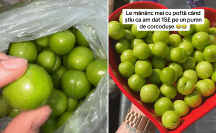Un trend pe TikTok scumpește corcodușele. Fructele se vând și la bucată