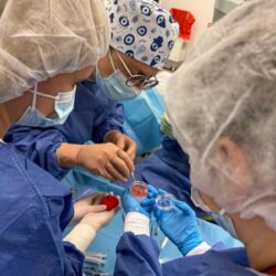 La Timișoara a fost efectuat, în premieră, transplantul de cornee (foto) 5 Încă o premieră medicală aduce Timișoara în atenția oftalmologiei naționale: aici a fost acreditat și operaționalizat singurul centru de transplant cornean din vestul țării