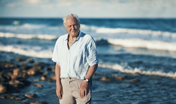 Sir David Attenborough împlineşte 100 de ani - BBC Earth va difuza în premieră documentarul „Wild London”