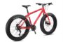 Olanda, țara bicicletelor, se războiește cu fatbike-urile