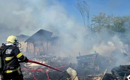 Incendiu puternic într-o gospodărie din Timiș. Pompierii au salvat un cal, șapte porci și mai multe păsări