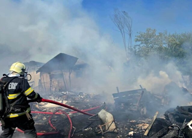 Incendiu puternic într-o gospodărie din Timiș. Pompierii au salvat un cal, șapte porci și mai multe păsări