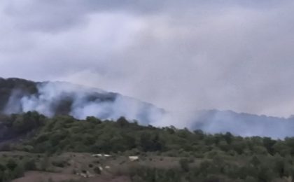 Incendiu pe 20 de hectare, în vestul țării. Un elicopter de stingere, chemat în ajutorul celor 50 de pompieri