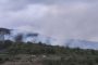 Incendiu pe 20 de hectare, în vestul țării. Un elicopter de stingere, chemat în ajutorul celor 50 de pompieri