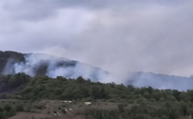 Incendiu pe 20 de hectare, în vestul țării. Un elicopter de stingere, chemat în ajutorul celor 50 de pompieri