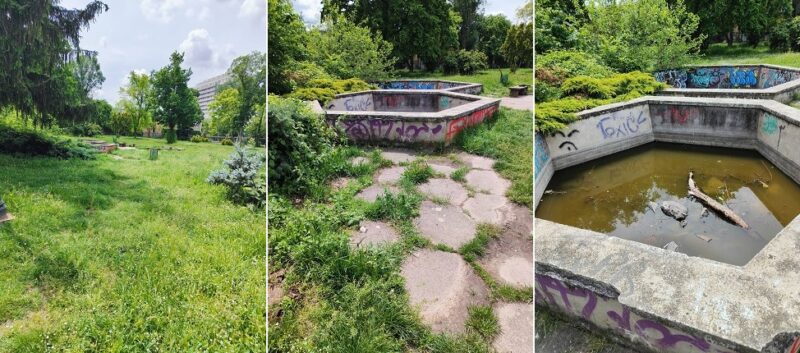 Ilie Sîrbu, consilier local: Dacă ajungi în Parcul Botanic, ai impresia că ai intrat... în grădina unui unchi plecat de 15 ani în Germania