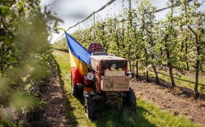 Idee inedită lângă Arad: pomi fructiferi oferiți spre adopție