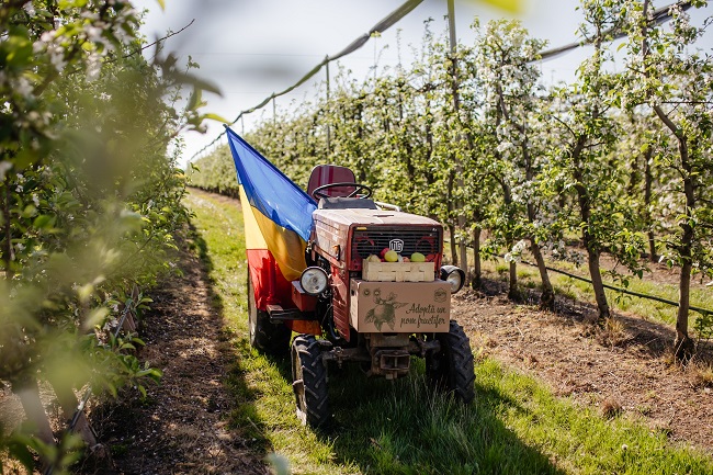Idee inedită lângă Arad: pomi fructiferi oferiți spre adopție