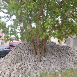 Șantierul din Piața Traian îngroapă promisiunea de “regenerare verde” sub munți de piatră cubică (foto) 2 santier traian5