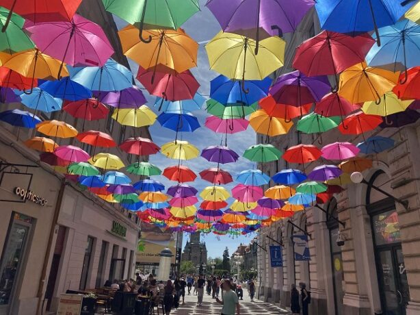 Explozie de culori de 8.000 de euro pe strada Alba Iulia din Timişoara (video)