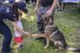 Zâna jucăriilor deschide ziua de 1 Iunie în Parcul Copiilor din Timișoara. Programul evenimentelor
