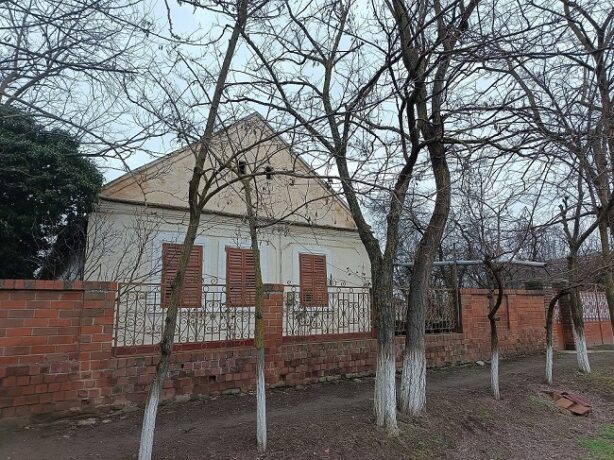 Un sat din Timiș se transformă în trei zile: începe Color de Village 2026 1 Un sat din Timiș se transformă în trei zile: începe Color de Village 2026