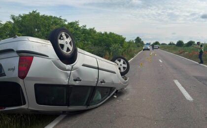 Cal mort şi trei oameni răniţi. Poliţiştii au stabilit cum s-a produs accidentul de la Peciu Nou