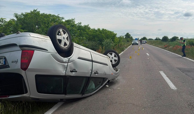 Cal mort şi trei oameni răniţi. Poliţiştii au stabilit cum s-a produs accidentul de la Peciu Nou