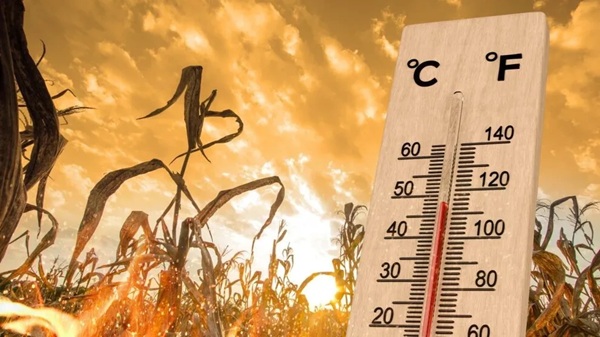 „Cupolă de foc” deasupra Europei: Primul mare val de caniculă lovește și România, iar temperaturile vor fi greu de suportat