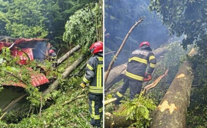 Clipe de groază! Un copac imens s-a prăbușit peste o casă, iar alți doi au căzut în apropiere