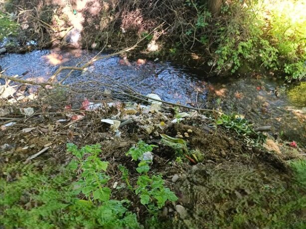 O comună din Banat a fost amendată cu 40.000 de lei pentru nerespectarea măsurilor de salubrizare a cursurilor de apă
