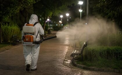Primăria Lugoj anunță acțiuni de dezinsecție în perioada 8 - 10 iunie