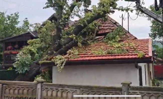 Vijelia a lovit puternic în vestul țării